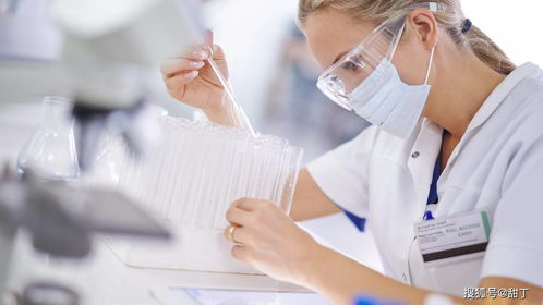 资阳试管代生代怀全流程揭秘：从胚胎培养到成功分娩的真实经历